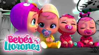 BEBÉS LLORONES 💦 LÁGRIMAS MÁGICAS 💕 Episodios Completos para NIÑOS en español [upl. by Nylrac]