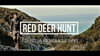 Deer Hunting in the Orongorongo River ValleyWellington [upl. by Rhine]