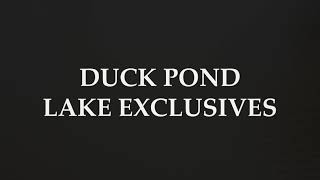 Duck Pond Lake Exclusives [upl. by Laws]