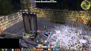 Lotro Beorning PvP Bear in Mind  quotSelfnerfedquot 17 [upl. by Ingles566]