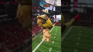 Freddie the Falcon’s Insane HighFlying Stunt 🦅🔥 [upl. by Wakerly]