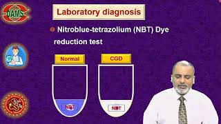 Chronic Granulamatous Disease CGD by Dr J Suria Kumar [upl. by Cavill126]