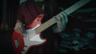 Fluorescent adolescentArctic Monkeys Bass cover [upl. by Ecadnarb31]