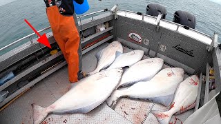 EPIC Day GIANT HALIBUT Fishing in Alaska  Fishing Cook Inlet [upl. by Weikert904]