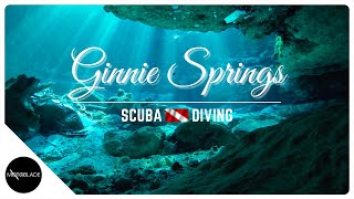 SCUBA Diving Ginnie Springs  Florida Spring Diving [upl. by Cutlor]