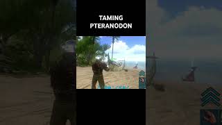 Easy Taming Pteranodon  arkmobile arksurvivalevolvedmobileindonesia pteranodon [upl. by Torruella]