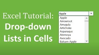 How to Create Drop Down Lists in Cells  The Complete Excel Guide [upl. by Anu]