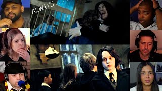 Snape Memories  quotDeathly Hallows Part  2 quot  Reaction Mashup  harrypotter [upl. by Aivart]