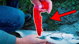 The MOST COMPLETE Egg Curing HowTo EVER Salmon amp Steelhead Tips amp Tricks [upl. by Nnyltiak429]