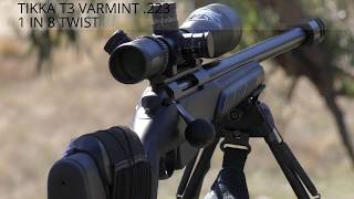 TIKKA T3 VARMINT 223 Autumn fields pt3 [upl. by Ellenahc]