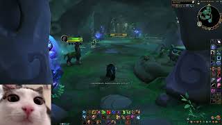 How to get Boon of Ashamane  World of Warcraft Dragonflight  Emerald Dream Guide [upl. by Nidya]