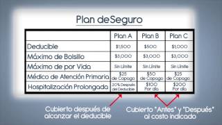 Deductibles Out of Pocket Expenses  Spanish version [upl. by Anit2]