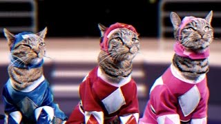 Mighty Morphin Meower Rangers  Meowphin Time  Episode 1 [upl. by Slayton890]