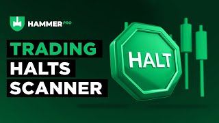 Trading Halts Scanner Walkthrough Track Market Halts in Real Time  Hammer Pro Trading Platform [upl. by Atalie]