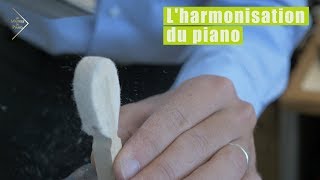 Maîtres du Piano  lharmonisation de votre piano [upl. by Eiro]