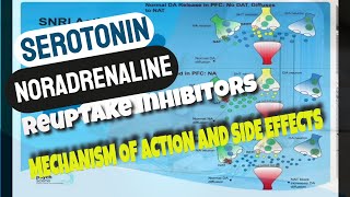 Serotonin Noradrenaline Reuptake Inhibitors  SNRIs  Mechanism of Action and Side effects [upl. by Negrom]