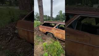 Impala wagon caught in the wild automobile classic impala wagon abandoned barnfind 327 chevy [upl. by Ocsirf300]