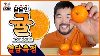 당뇨환자가 먹어본 신 귤과 단 귤🍊의 혈당차이는  10분단위 혈당실험 [upl. by Ahsemak]