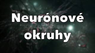 Ako funguje ľudský mozog  synapsie a neuróny [upl. by Ajed408]