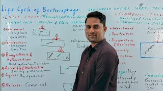 Life cycle of bacteriophageBacteriophage life cycleAcellular lifeMdcat NEEThindi UrduProSuresh [upl. by Enajaras397]