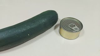 🥒 CON UN CALABACÍN Y ATÚN DE LATA 🟰 COMIDA SOLUCIONADA viralvideo  BEATRIZ COCINA [upl. by Jarlath]