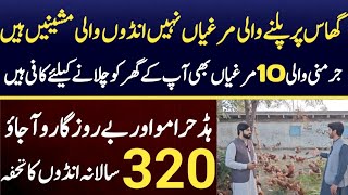 Biggest Free Range Poultry Farming  Free Range Chicken Farming in Pakistan  Ajmal Hameed TV [upl. by Younglove]