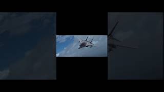 Two f 14 vs two zero aircraft edit military aviation [upl. by Tuck411]