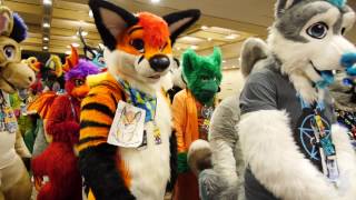 Furnal Equinox 2017 Fursuit Parade from the Inside [upl. by Annuahs728]