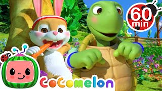 The Tortoise and the Hare  More Nursery Rhymes amp Kids Songs  CoComelon [upl. by Assital]