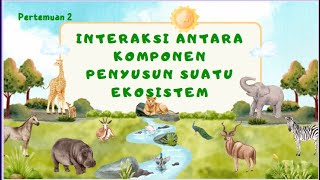 pertemuan 2 Interaksi antara komponen penyusun suatu ekosistem [upl. by Amorete]