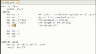 Assembly Language Tutorial 11 Making System Calls [upl. by Claudio]