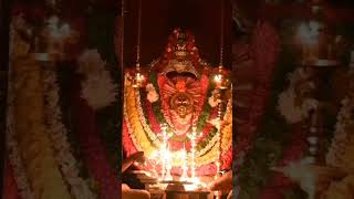 sigandur amma navratrispecial festival [upl. by Ocramed]