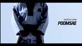 POOMSAE 3  TAEGUK SAM JANG TAEKWONDO [upl. by Demah]