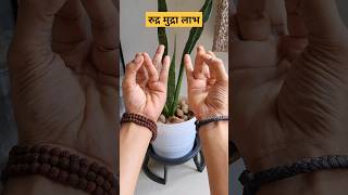 मणिपुर चक्र सक्रीय करने में उपयोगी मुद्रा  Rudra Mudra For Activating Manipura Chakra [upl. by Noret]