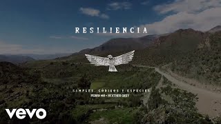 Pedro Mo  Resiliencia Video Lyrics [upl. by Hymen]