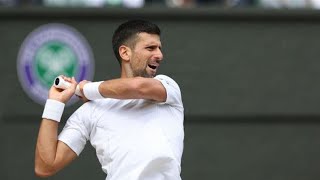 Andy Roddick makes absurd Novak Djokovic comment after Wimbledon final defeat [upl. by Erwin92]