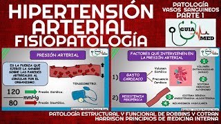 HIPERTENSIÓN ARTERIAL HARRRISON  GuiaMed [upl. by Ayardna]