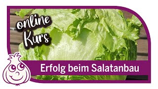 Salate erfolgreich anbauen  Gemüseanbau Online Kurs Teil 1 [upl. by Ahscrop]