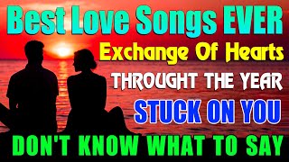 Best Love Songs EVER 🌹 70s 80s 90s Love Songs  Greatest Collection of Romantic Hits Lyrics [upl. by Merat]