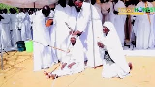 Bishop Ngoni Mwazha performs a miracle in Bulawayo as he heals a nonambulatory lady [upl. by Annay649]