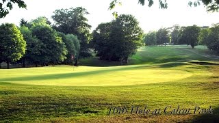 Hole 10 at Calcot Park [upl. by Semajwerdna123]