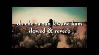 DA CHE ZA ZAN LEWANE KAM SLOWED amp REVERB SARDAR ALI TAKKAR [upl. by Wilhelm]