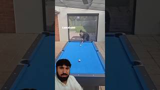 Amazing tricks billiards 8ballpool pool snooker ball trickshots poolshots snookertips [upl. by Ahseyd]