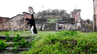 Wudang Tai Chi 28 by Master Chen Shiyu [upl. by Ikir]