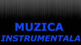 Muzica Instrumentala Hora Nunta [upl. by Mure]