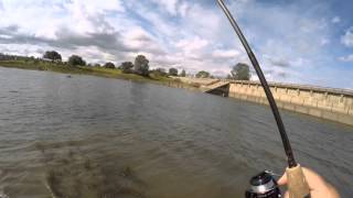 Trout Fishing with G Loomis GLX rod on a Shimano Stradic CI4 [upl. by Dorcas]