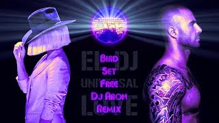 SIA  BIRD SET FREE DJ ARON REMIX [upl. by Ahseid]