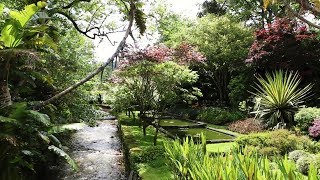 Naturaleza hermosa  Flores y campos [upl. by Stevana729]