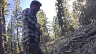 Sampling a creek in Tahoe for Gold [upl. by Gravante]