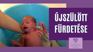 Újszülött fürdetése 💜 [upl. by Barhos]